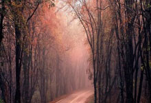 壹号娱乐：2024歐預賽第1輪捷克3-1波蘭 開場3分鐘進兩球 捷克力克波蘭取得開門紅！.