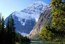 哈維拒絕多特巴西邀請 巴薩阿爾薩德二選一.