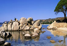 壹号娱乐：国家外汇管理局：我国外汇市场韧性不断增强.